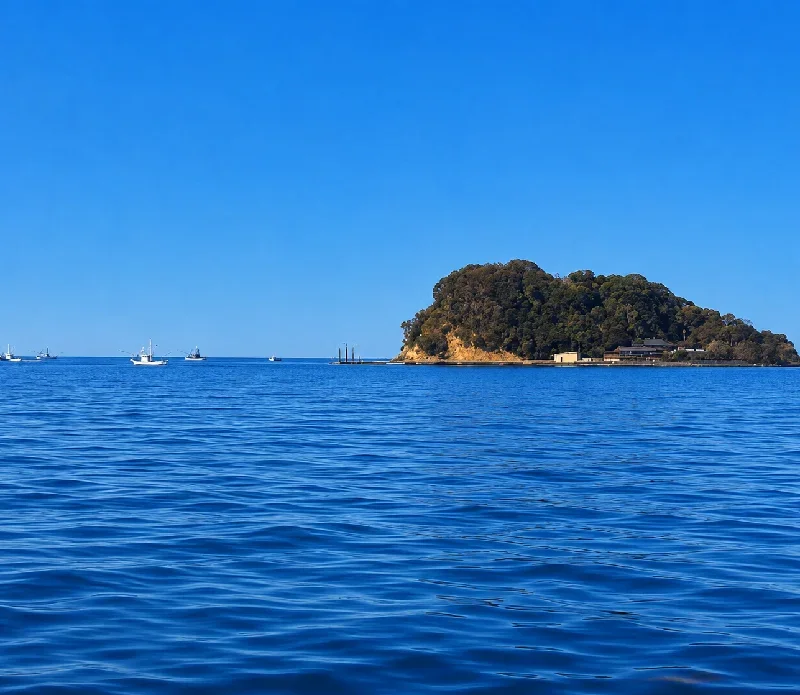 猿島沖