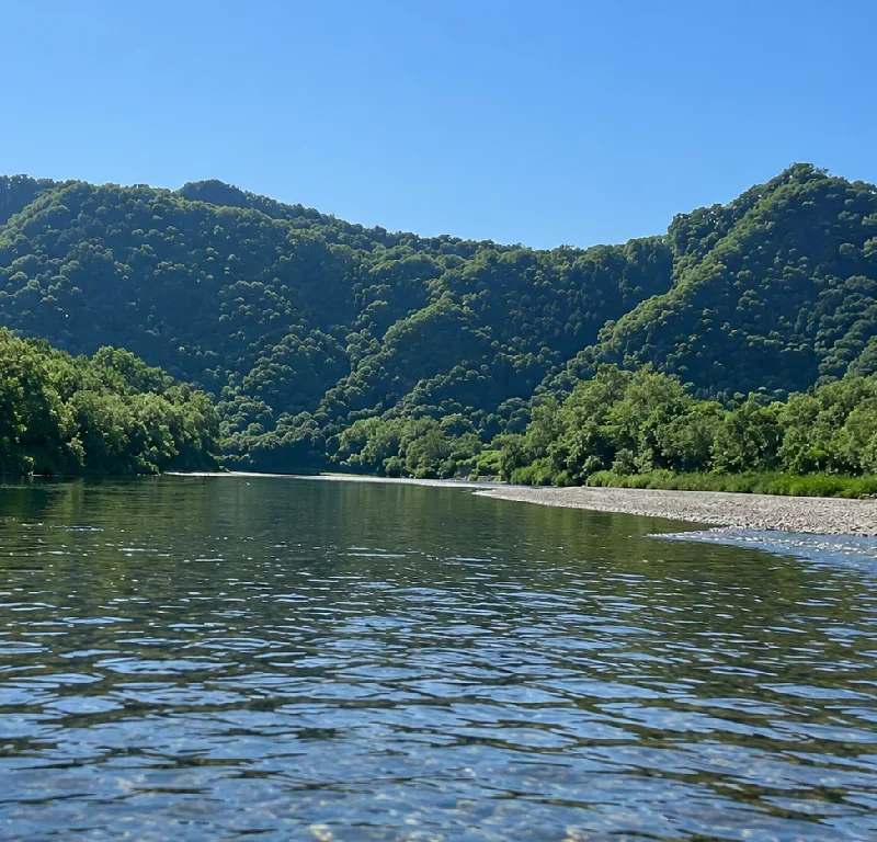 仁和大橋周辺