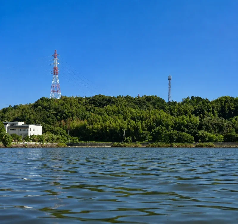 庄内湖奥部